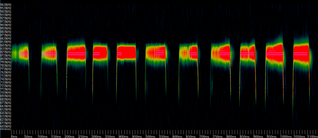 Greater horseshoe bat sonogram